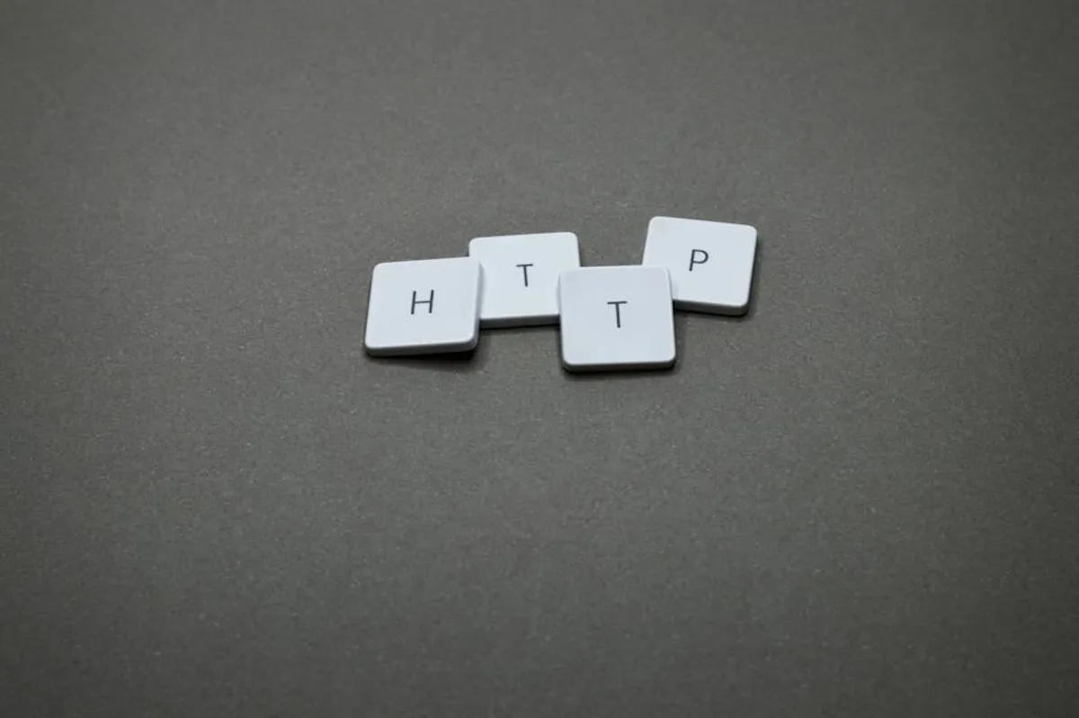 How Web Publishers Use SEO to Grow Traffic