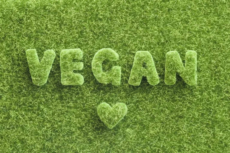 Veganizoo Review: What It Is, Features, Safety, and Alternatives
